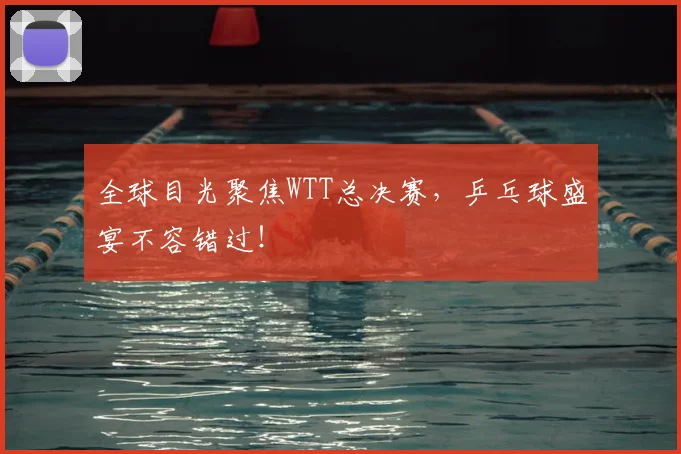 全球目光聚焦WTT总决赛，乒乓球盛宴不容错过！