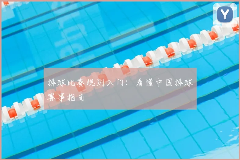 排球比赛规则入门：看懂中国排球赛事指南